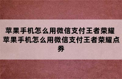 苹果手机怎么用微信支付王者荣耀 苹果手机怎么用微信支付王者荣耀点券